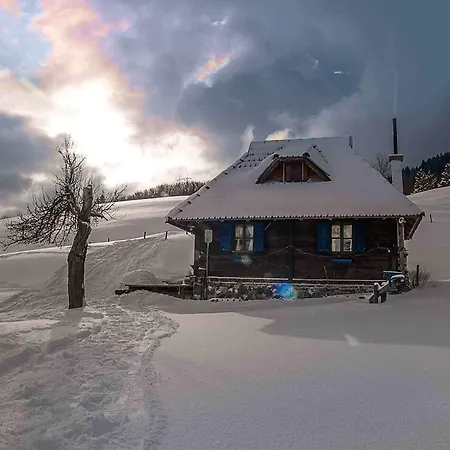 Chalet Etno Kuce Boskova Voda